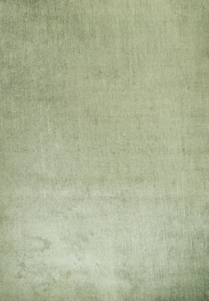 Teppe 'Ängelholm' 200x280 cm - Grønn