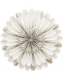 Adventsstjerne 'Mora' - Beige