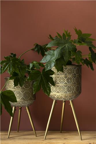 Kruka 'Botanique' L - Messing