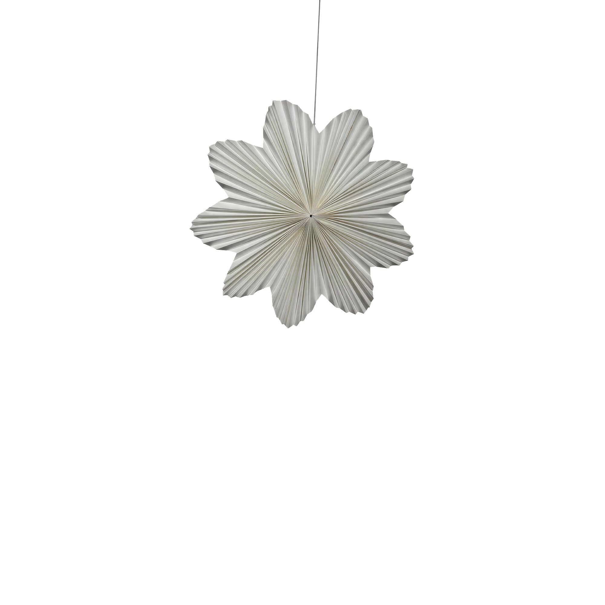 Adventsstjerne 'Daisy' 60cm - Hvit