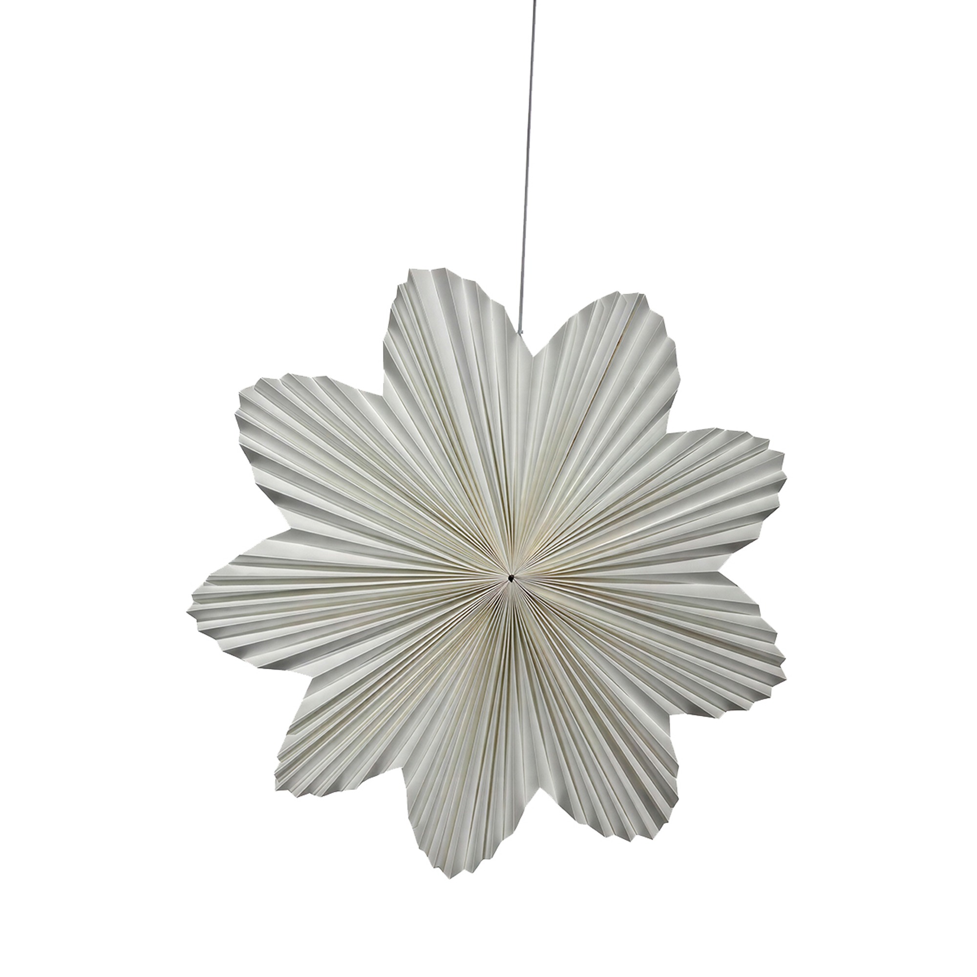 Adventsstjerne 'Daisy' 60cm - Hvit