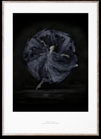 Plakat \'Essence of Ballet 06\' 50x70 cm - Svart / Hvit