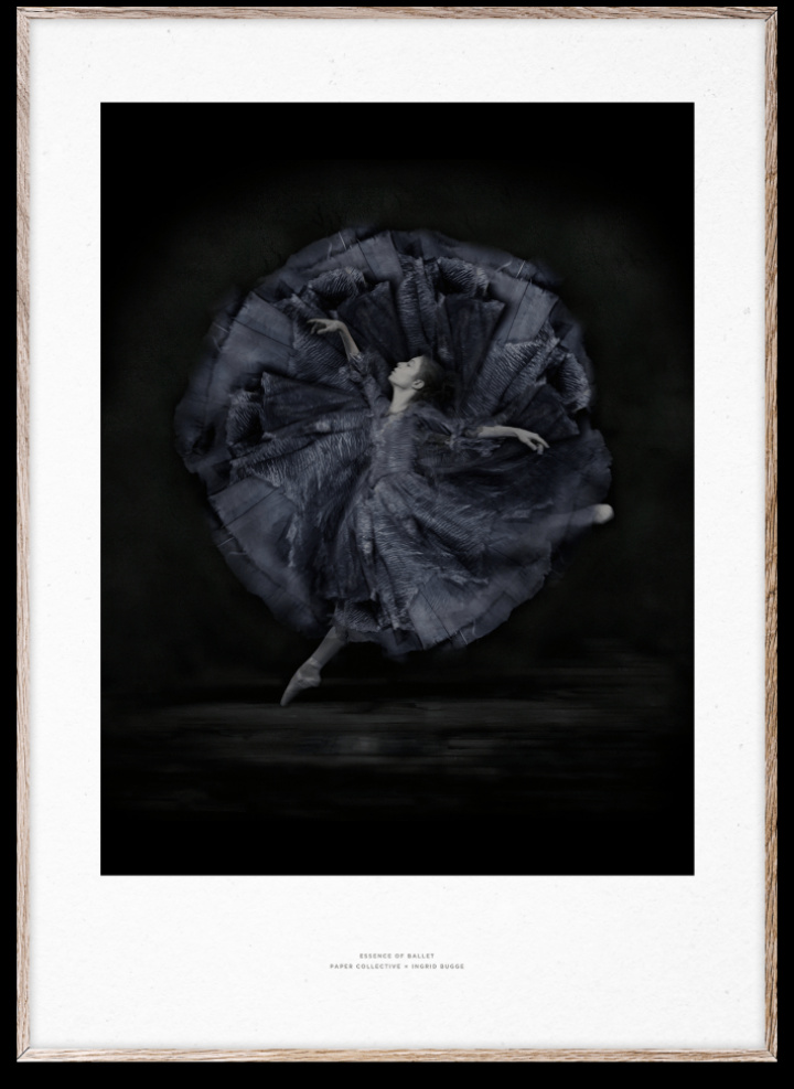 Plakat 'Essence of Ballet 06' 50x70 cm - Svart / Hvit