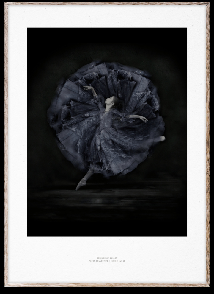 Plakat 'Essence of Ballet 06' 50x70 cm - Svart / Hvit