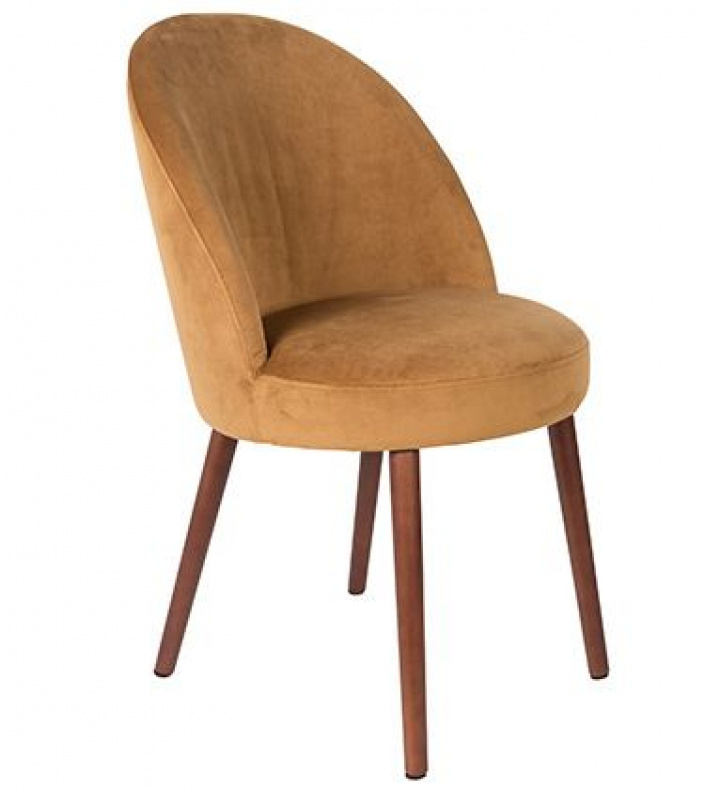 Styreleder 'Barbara' - Kamel