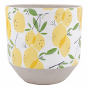 Krukke \'Lemon\'