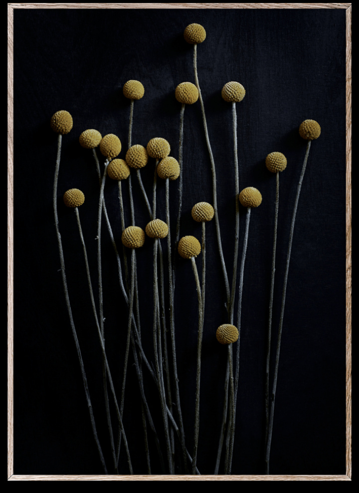 Plakat 'Still Life' 70x100 - Svart / Gul