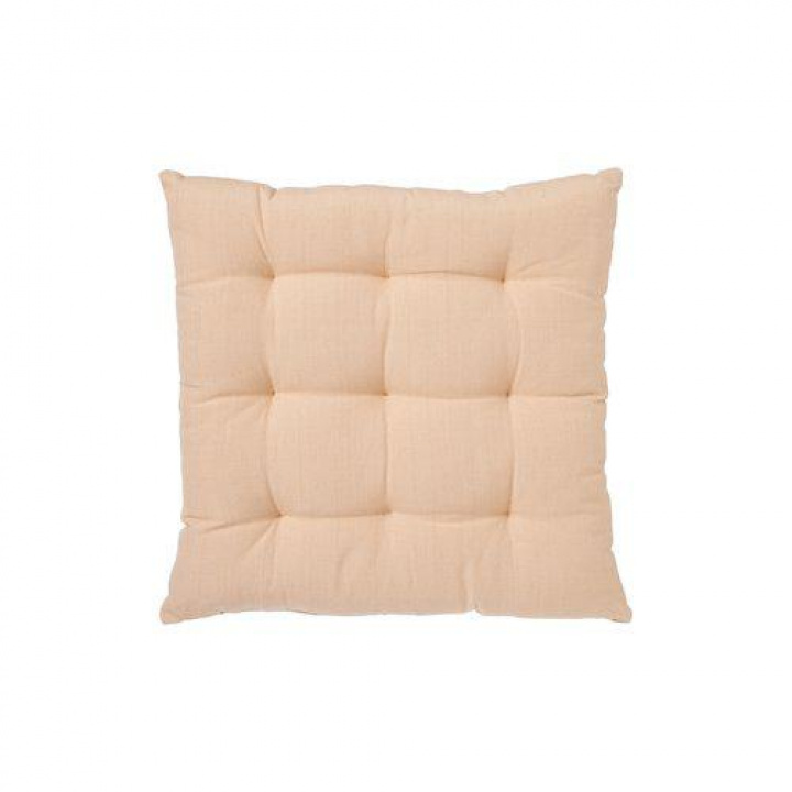 Stolpute 'Louie' 40x40 - Rosa