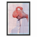 Plakat - The Flamingo