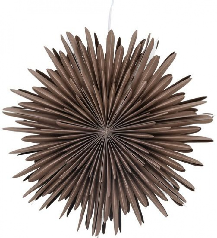 Adventsstjerne 'Svedala' 46cm - Greige