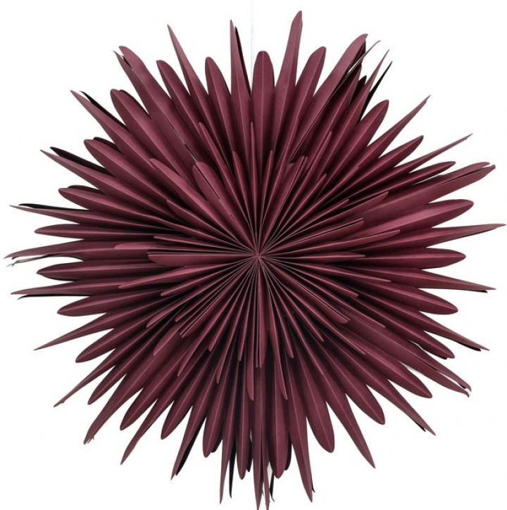 Adventsstjerne 'Svedala' 80cm - Rød