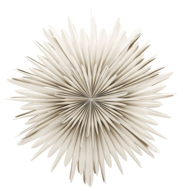 Adventsstjerne 'Svedala' 100cm - Beige