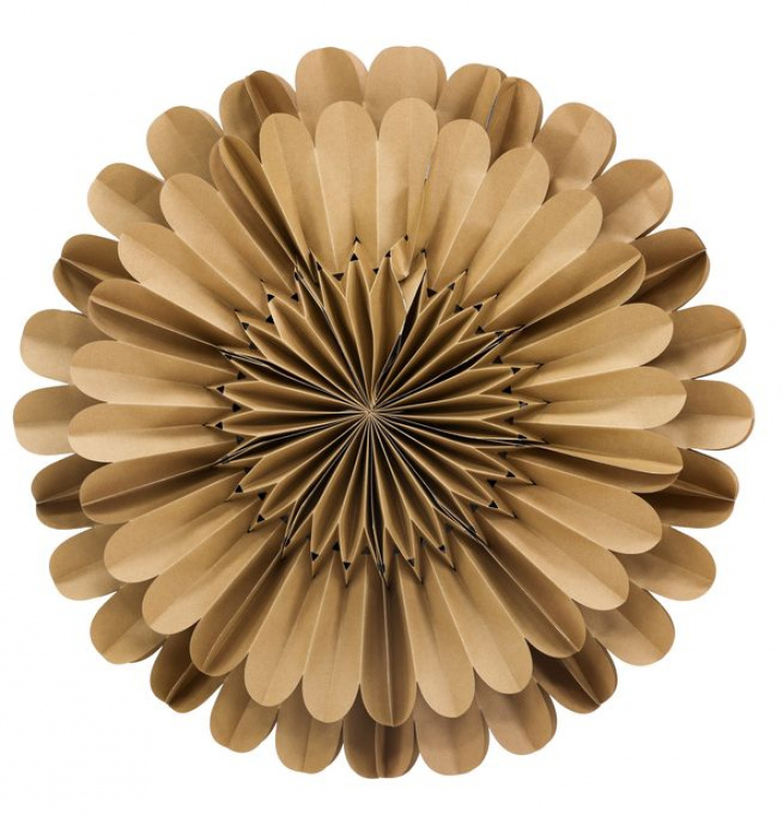 Adventsstjerne 'Mora' - Brun