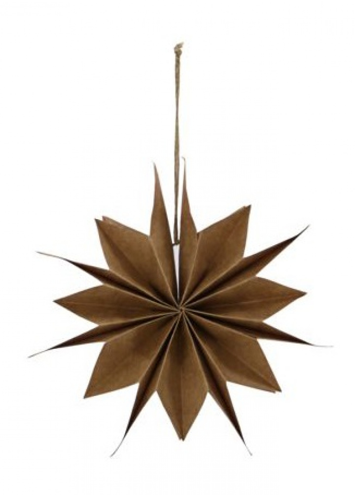 Julestjerne 'Capella' - Naturlig