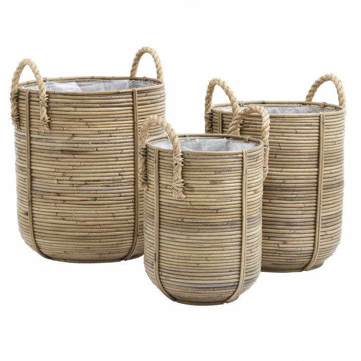 4Planting kurver 3stk - Rotting i gruppen Interiør / Dekorasjon hos Reforma (2462)