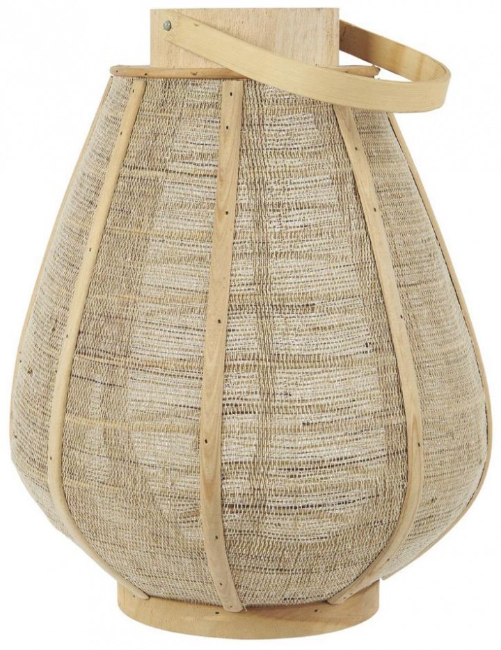 Lysestake 'Hurricane Hessian Conical' - Tre