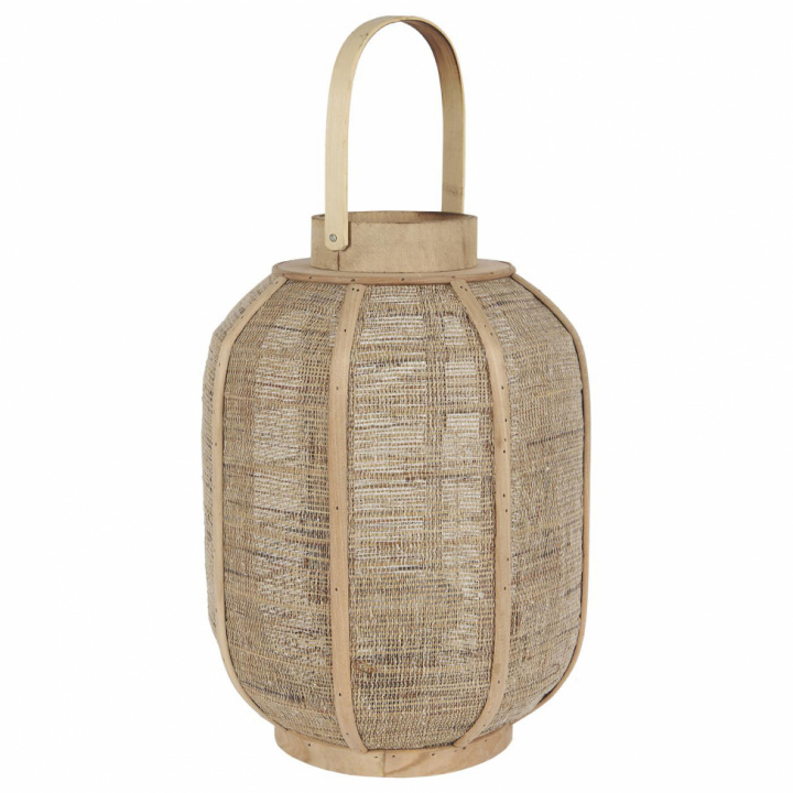 Lysestake 'Hurricane Hessian' - Tre