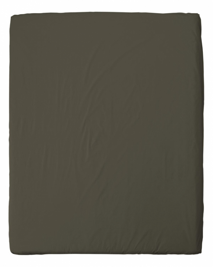 Ark 'Ingrid' 270x270 - Bark