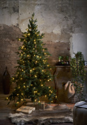 Juletre \'Larvik Belysning\' - Grønn