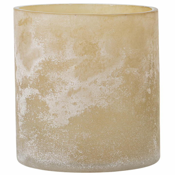 Lysestake 'Naga' - Nature