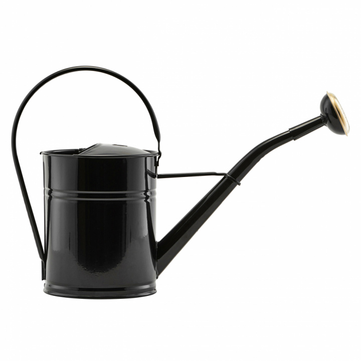 Vannkanne - Svart