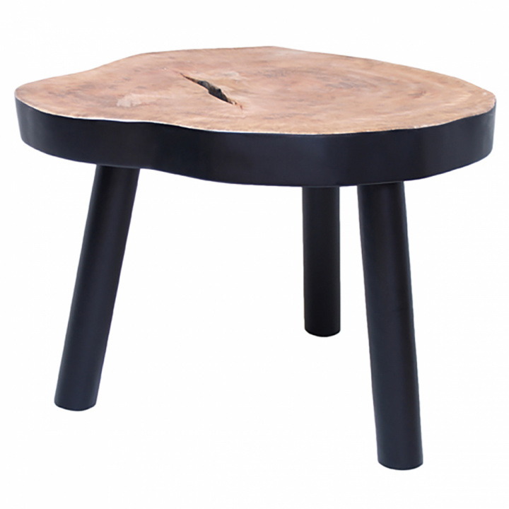 Salongbord \'Tree\' - Svart L i gruppen Møbler / Bord / Sidebord hos Reforma (HAP6205)