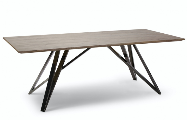 Spisebord - København 220x100 i gruppen Møbler / Bord / Spisebord hos Reforma (J3386)