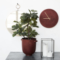 Veggklokke \'Nature Red\'