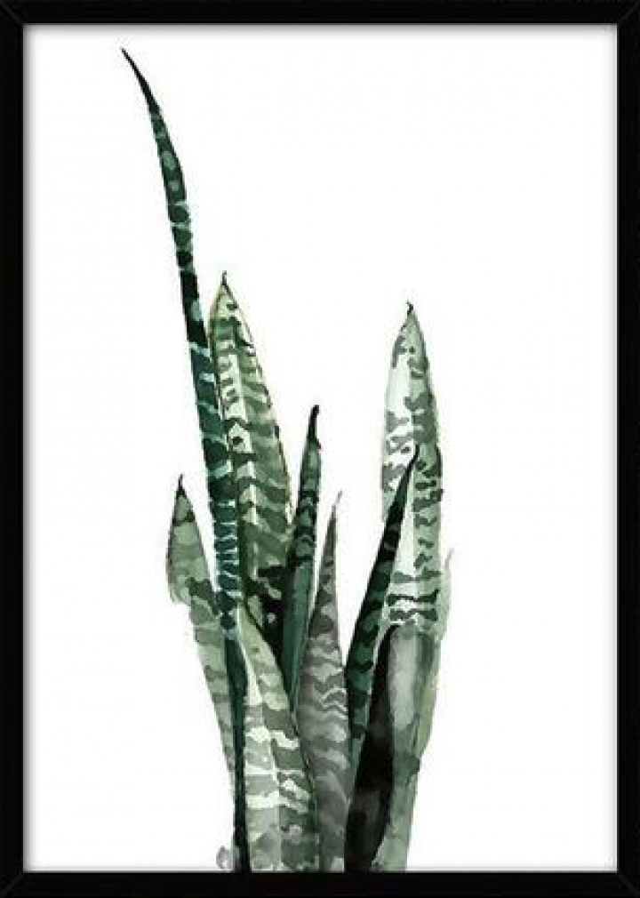 Lerretsplakat S - Tropisk plante 8 i gruppen SALG / Innredning / Dekorasjon hos Reforma (LS71237-08-H-3040)