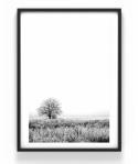 Plakat - Landskap