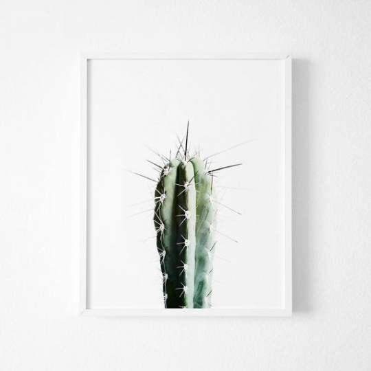 Plakat - Kaktus