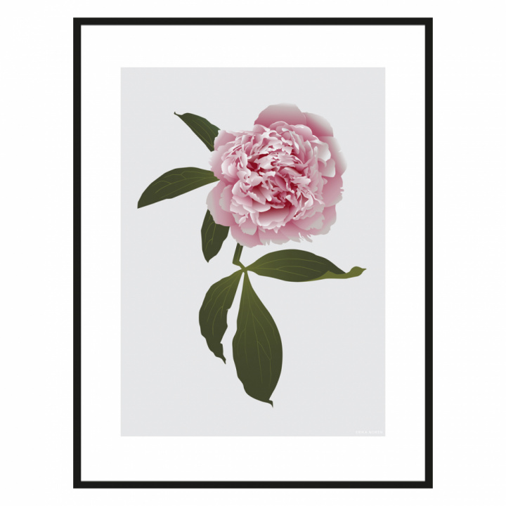 Plakat 'Pion' - 30x40