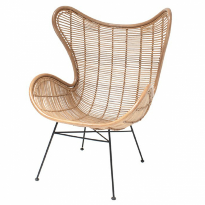 Salongstol 'Egg' - Rotting