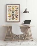 Plakat - Sommerfugler vintage