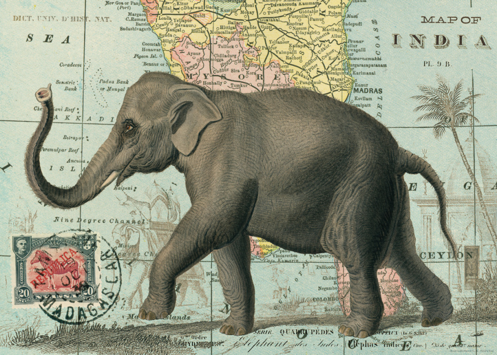 Plakat - Vintage Elefant