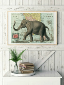 Plakat - Vintage Elefant