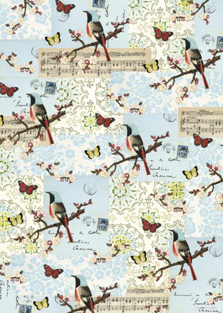 Plakat - Fugler og fauna