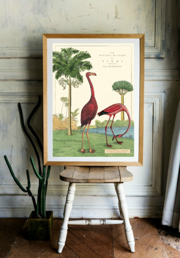 Plakat - Vintage Flamingo
