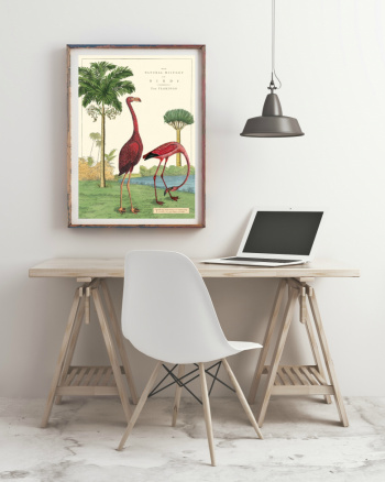 Plakat - Vintage Flamingo