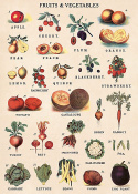 Plakat - Grønnsaker og frukt