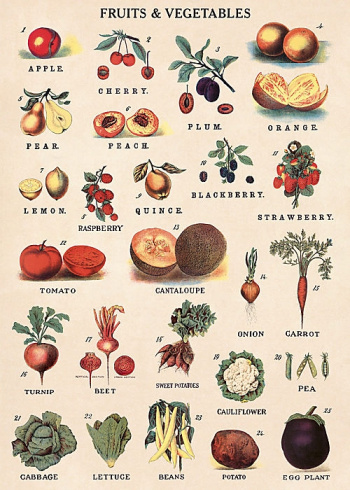 Plakat - Grnnsaker og frukt
