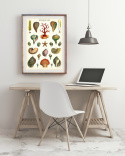 Plakat - Vintage skjell