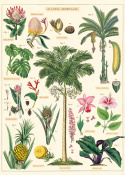 Plakat - Vintage Tropical