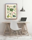 Plakat - Vintage Tropical