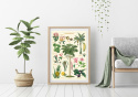 Plakat - Vintage Tropical