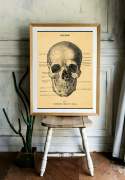 Plakat - Hodeskalle
