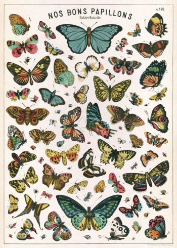 Plakat - Nos Bons Papillons
