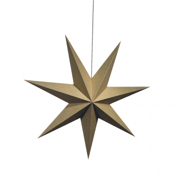 Adventsstjerne 'Sally' 60cm - Brun