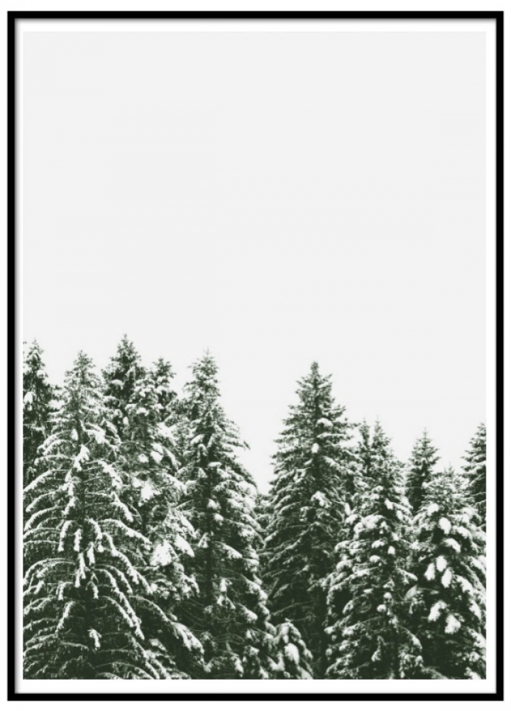 Plakat - Nordisk landskap 2