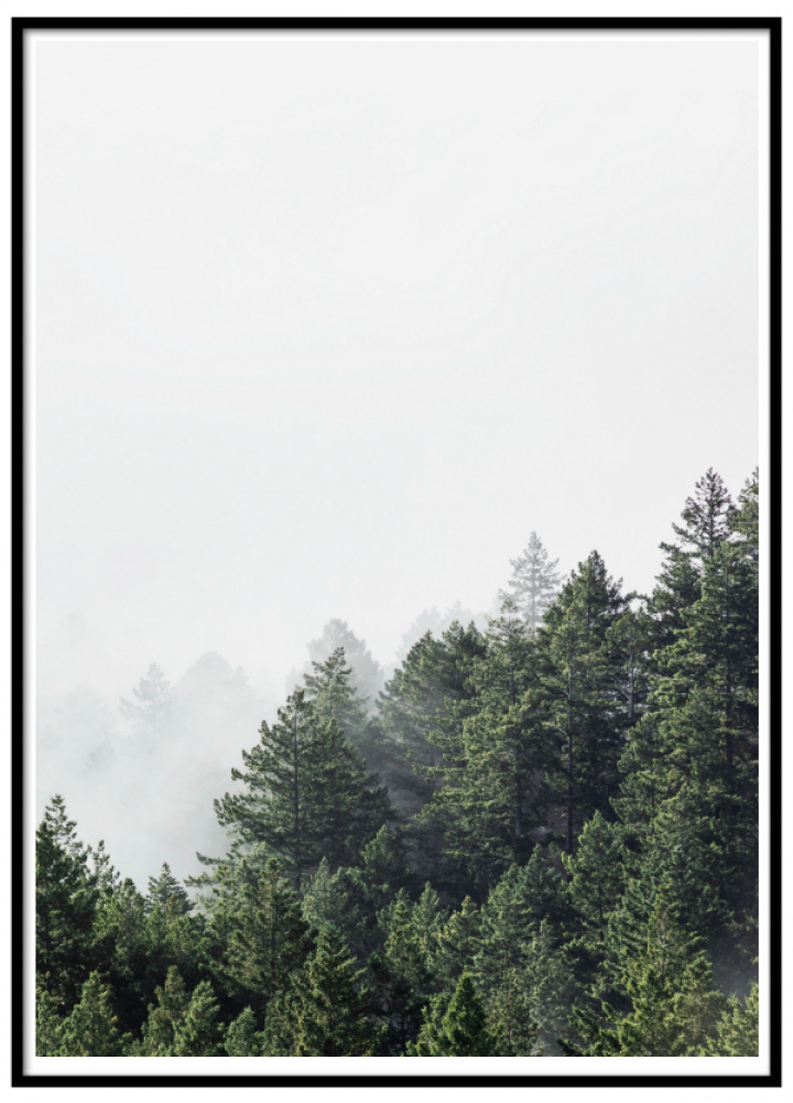 Plakat - Nordisk landskap 3